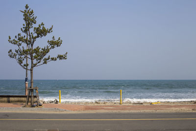 Scenic view of beach against clear sky