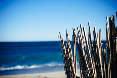 Close-up of blue sea against clear sky