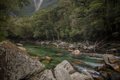 Stream flowing through rocks in forest