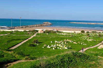 Scenic view of sea against clear sky