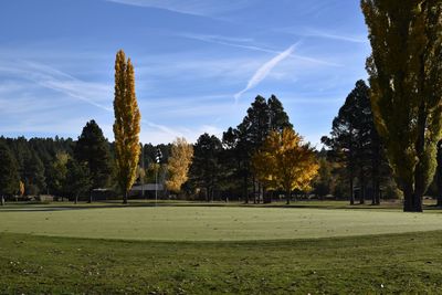 Golf course green with flag near flagstaff arizona