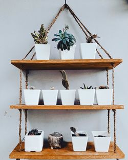 Close-up of potted plants on wooden table