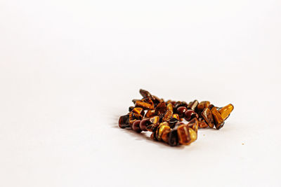 Close-up of food against white background