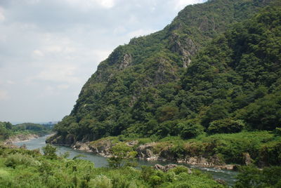 Scenic view of river amidst trees against sky