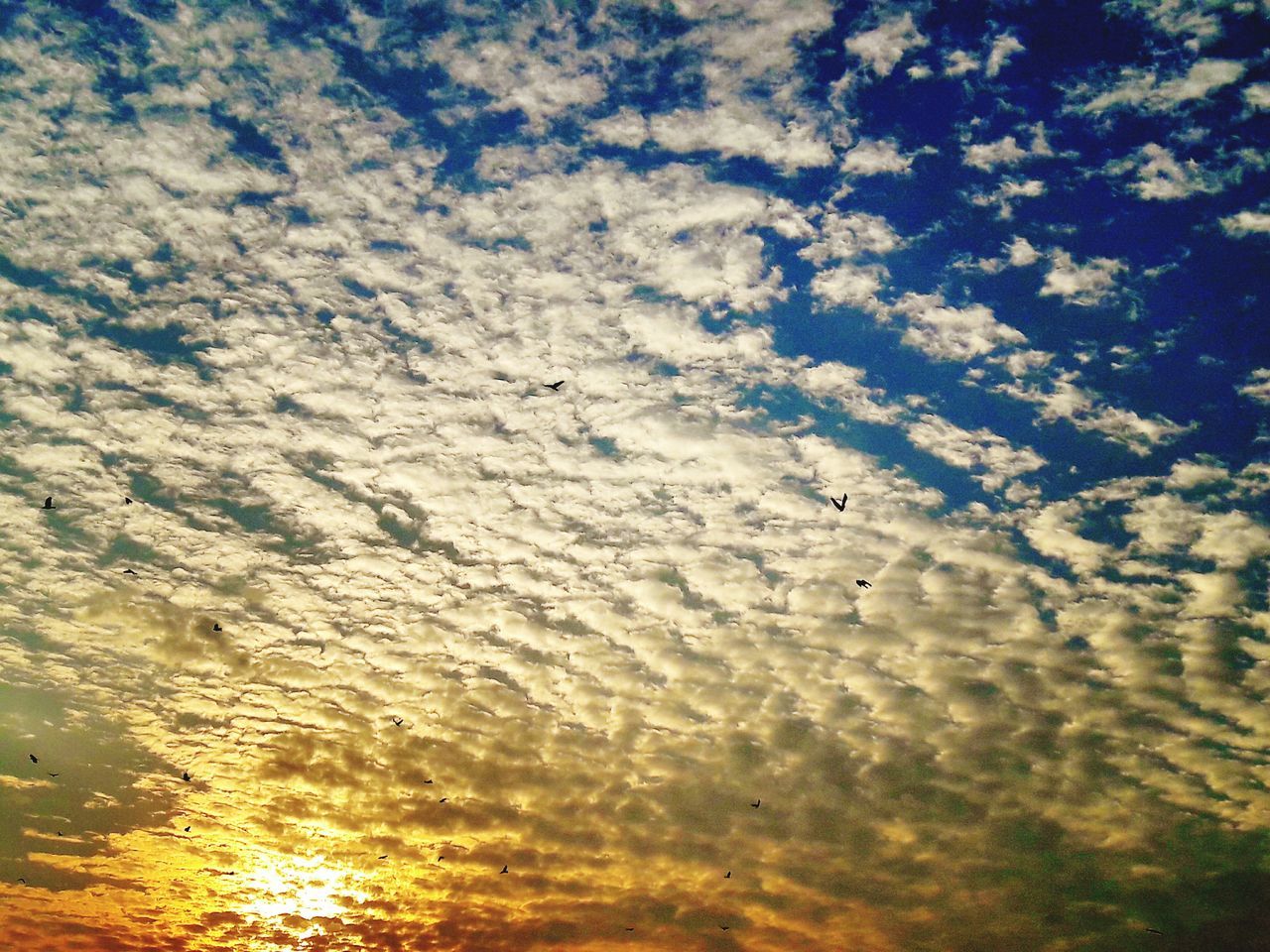 sky, water, tranquility, beauty in nature, cloud - sky, scenics, nature, tranquil scene, full frame, backgrounds, sunset, reflection, idyllic, outdoors, cloud, wet, no people, cloudy, sunlight, day