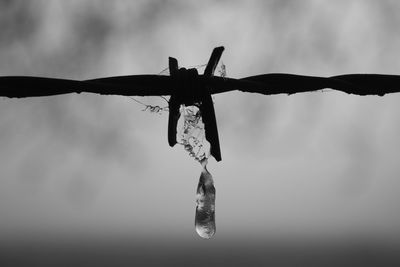 Close-up of water hanging against sky