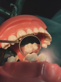 Close-up of hand holding teeth model