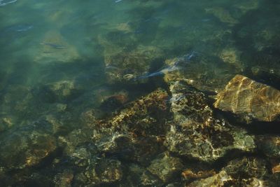 Full frame shot of rocks in sea