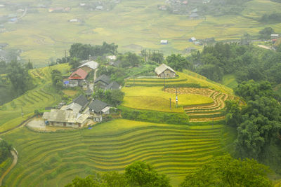 Aerial view of agricultural fields