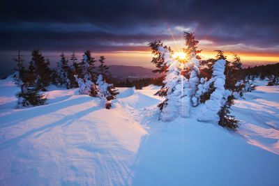 Scenic view of snow covered landscape against sky during sunset