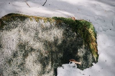 High angle view of a snow covered land