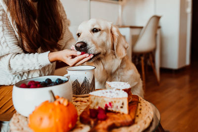 Midsection of woman doing breakfast with dog at home