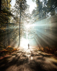 Rear view of man running on road amidst trees in forest