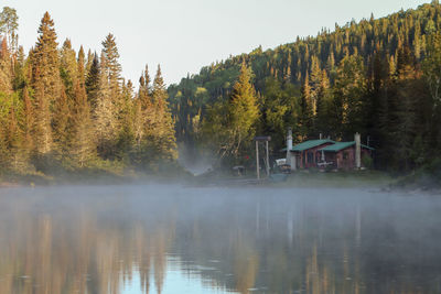 Scenic view of lake in forest against sky