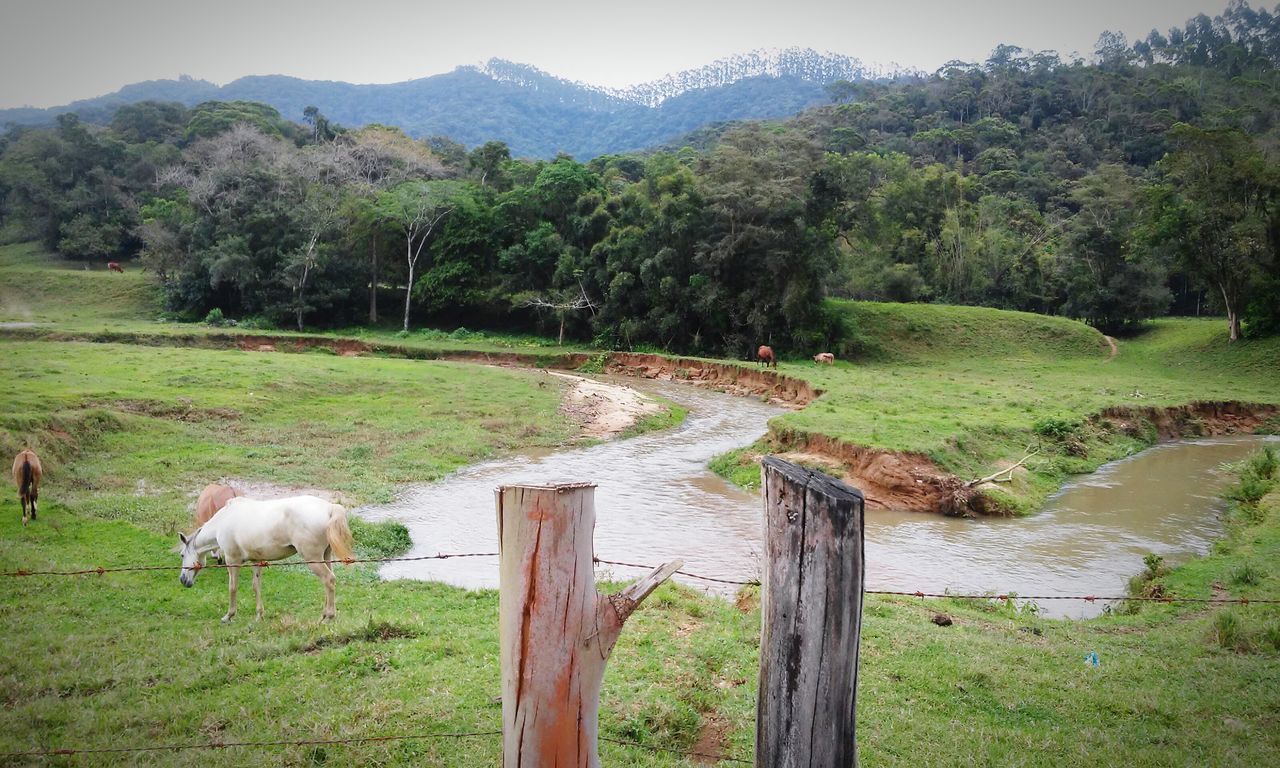 Bairro Cedro Alto