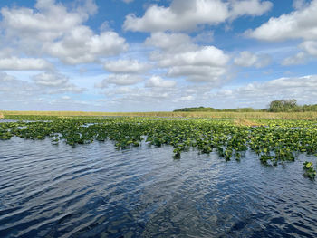 Scenic view of lake against sky