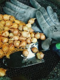 High angle view of food