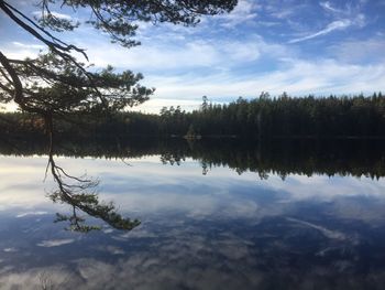 Scenic view of lake and trees against sky