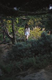 Woman standing amidst trees in forest
