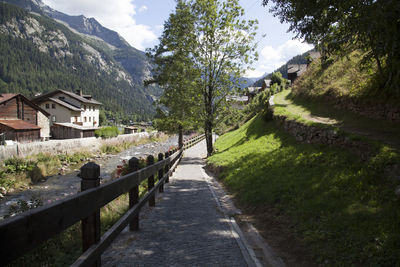 Footpath amidst houses and trees against sky