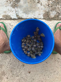 Low section of person with a blue bucket plenty of snails