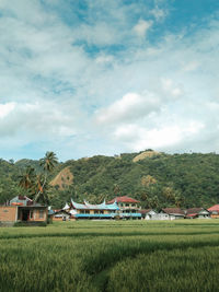 Scenic view of agricultural field against sky blue in batusangkar west sumatra indonesia