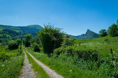 Road amidst trees on field against sky