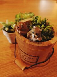 Close-up of stuffed toy on table