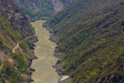 High angle view of river amidst trees