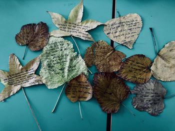 High angle view of dried leaves on table