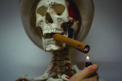 Close-up of cigarette with skeleton