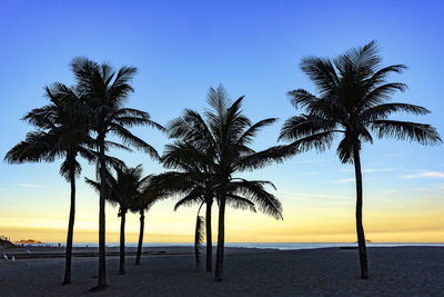 Palm trees on beach against clear sky