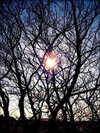 Silhouette of trees at sunset
