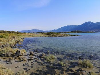 Scenic view of sea against clear sky