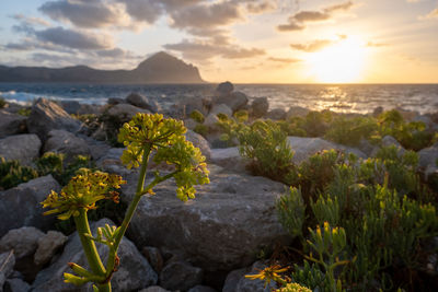 Scenic view of sea against sky during sunset