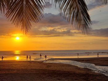 Scenic view of beach against sky during sunset