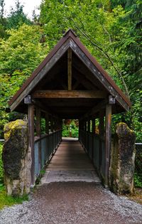 Bridge against trees in forest