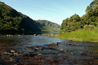 Scenic view of river in forest against sky