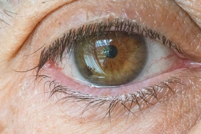 Close-up of human eye