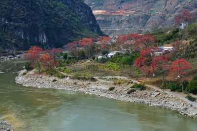 Scenic view of lake during autumn