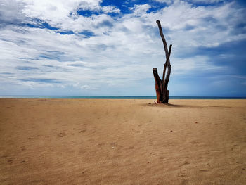 Scenic view of beach against sky