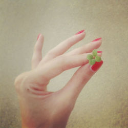 Close-up of hand holding flower