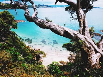 Scenic view of sea against blue sky