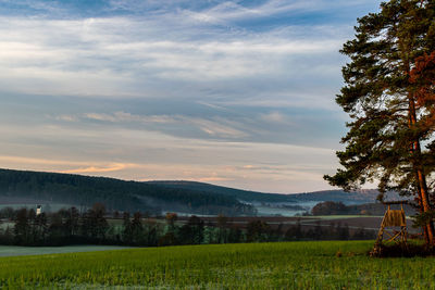 Scenic view of field against sky