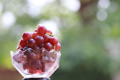 Close-up of ice cream on table