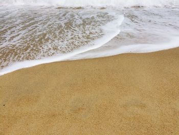 Scenic view of beach