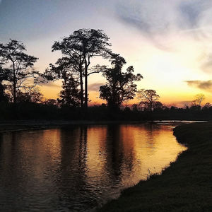 Silhouette trees by lake against sky during sunset