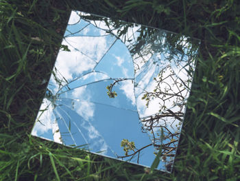 Reflection of trees on broken glass