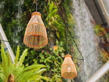 Low angle view of illuminated lanterns hanging on tree