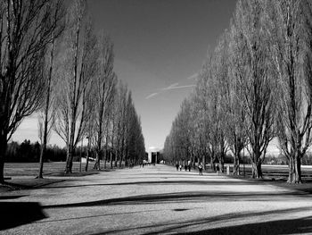 Road amidst trees against sky